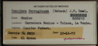 Image Associated With the Occurence